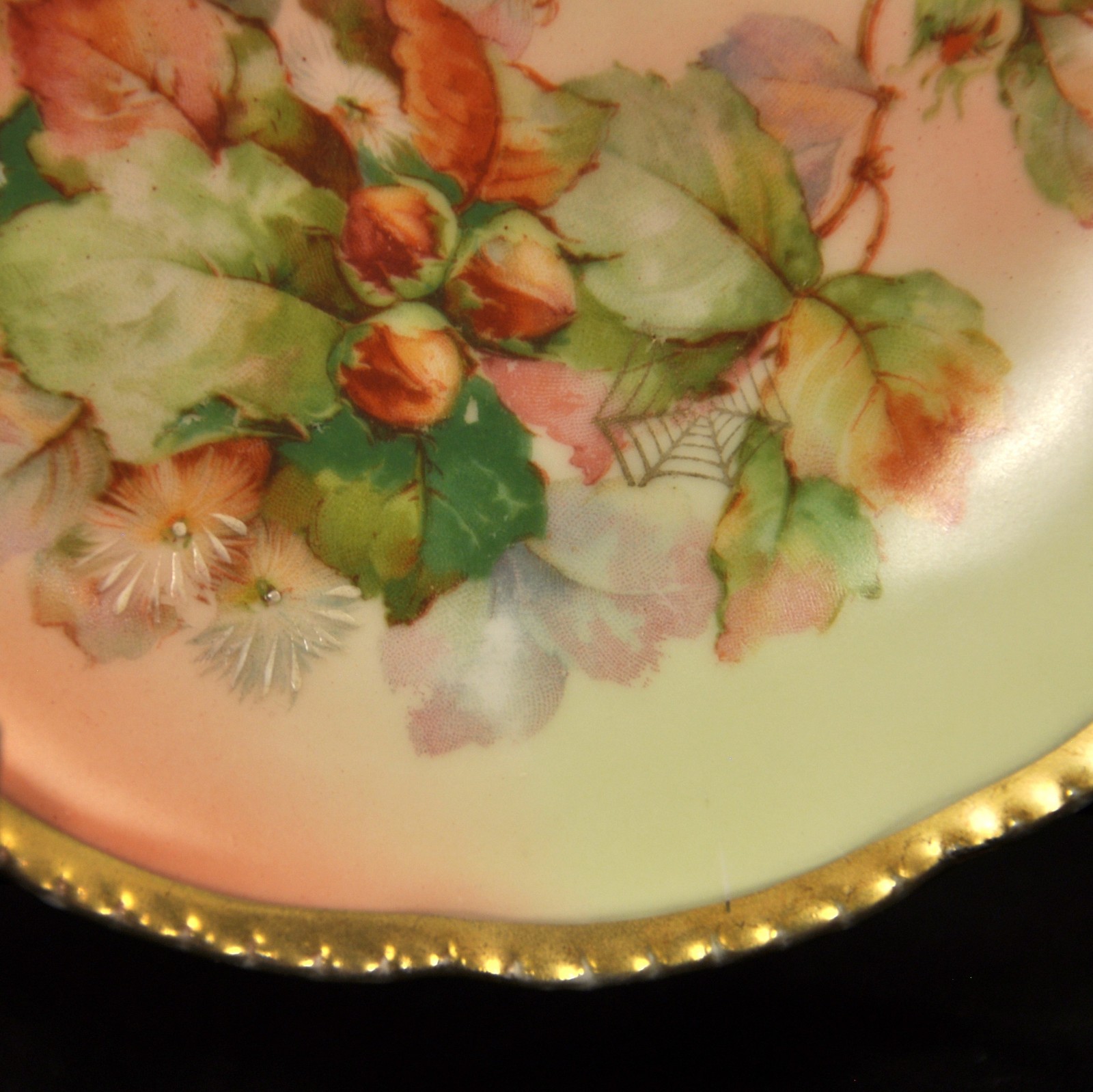 Royal Rudolstadt Beyer Bock 4 Bread Butter Plates 1905-1929 Nuts Gold Spider Web