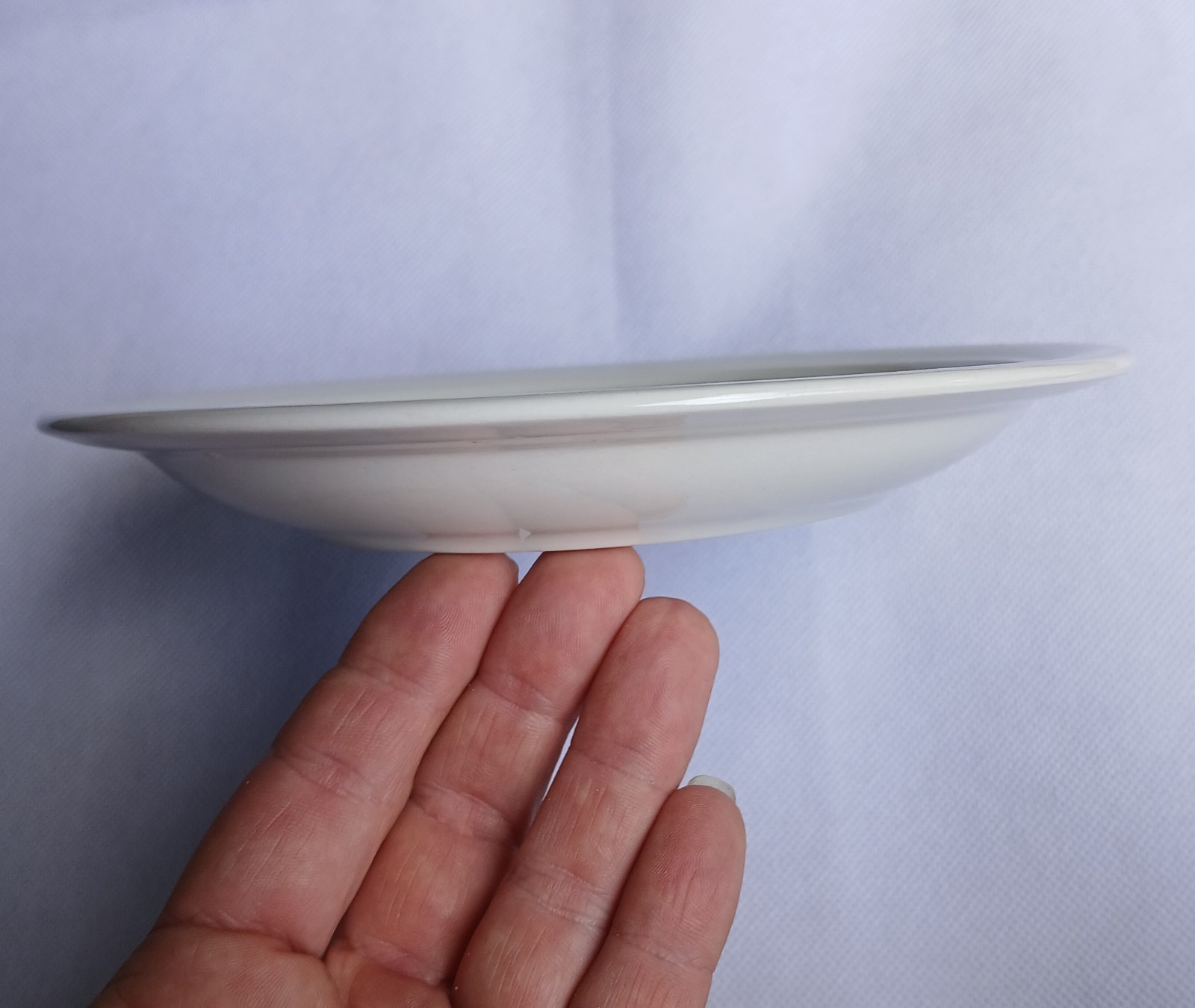 Ceramic Decorative Plate Blue Border Kitchen Motif Round Glossy Multicolor