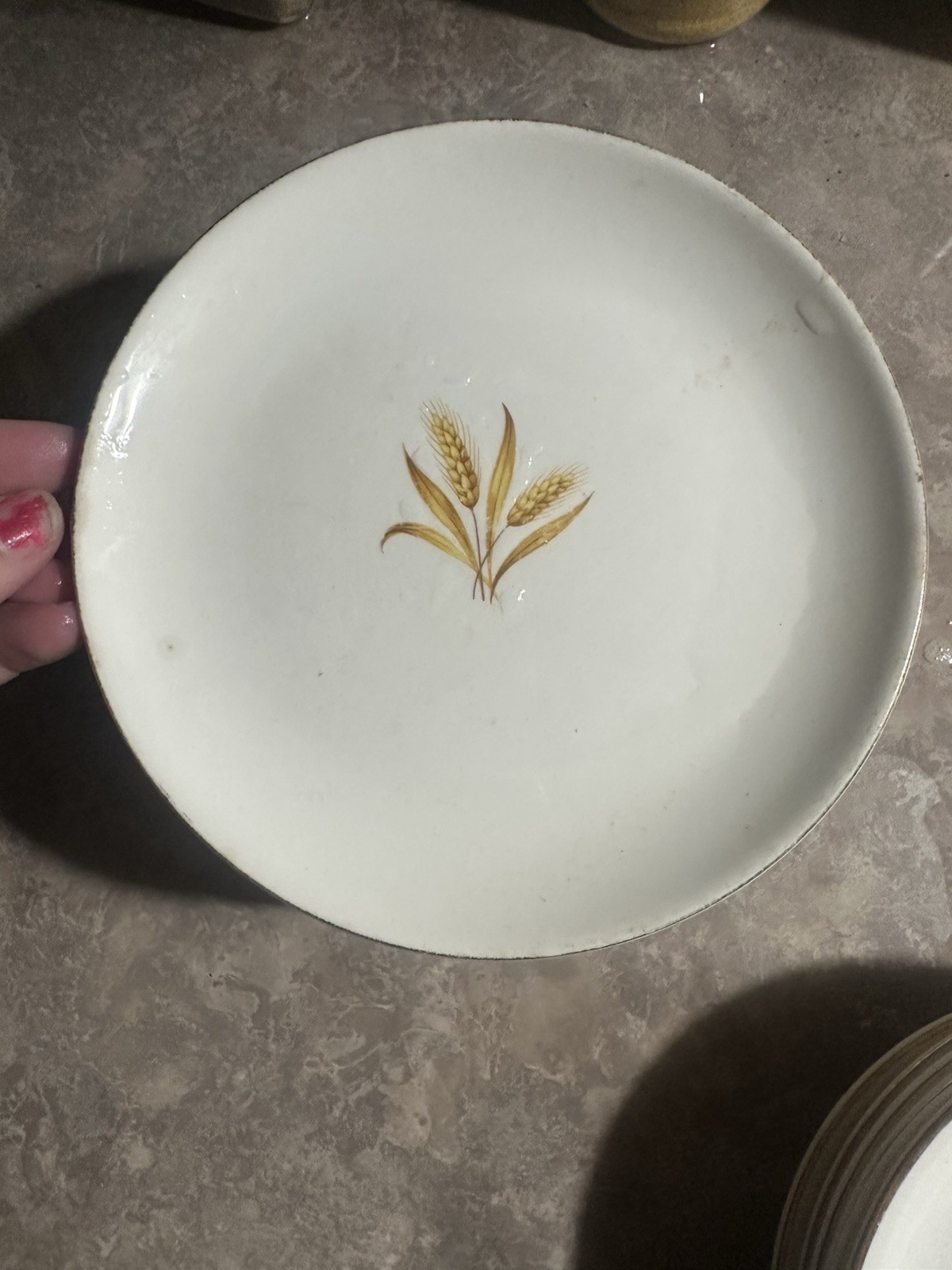 Vintage Golden Wheat dish set