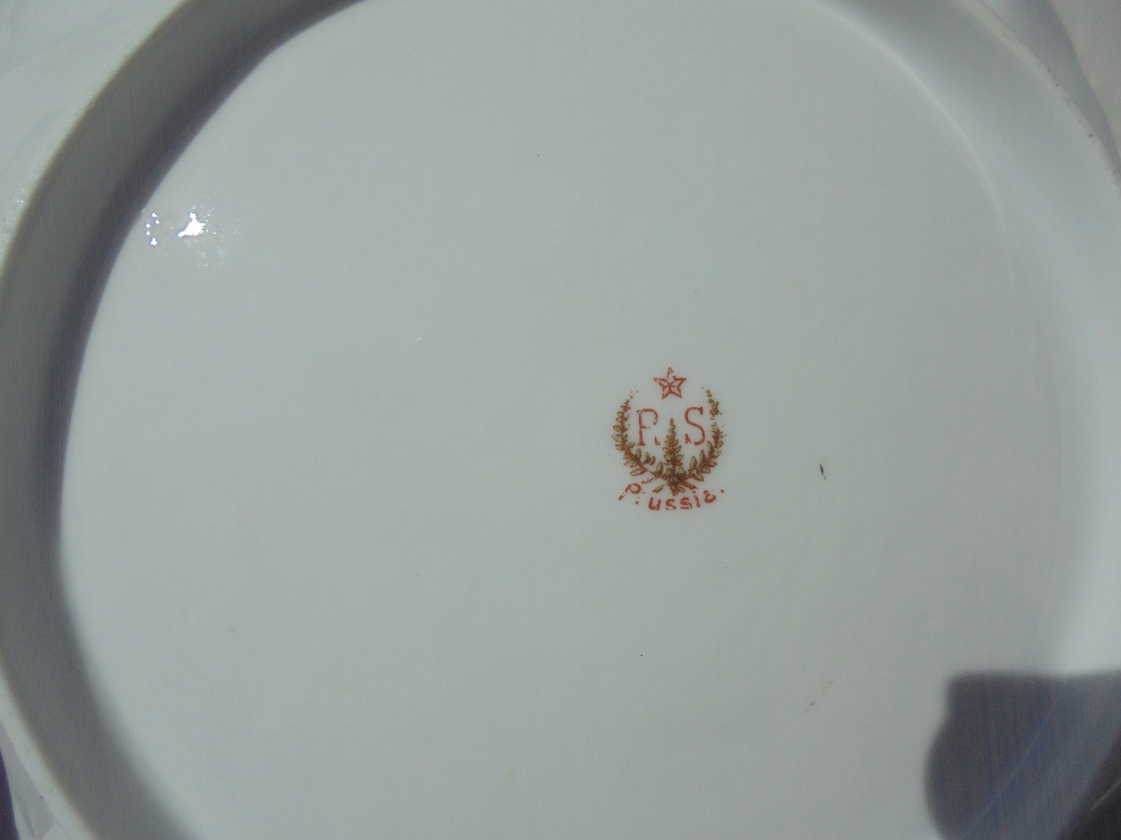 Antique RS Prussia Porcelain Deep Bowl Pink Roses Acorn Mold 10″