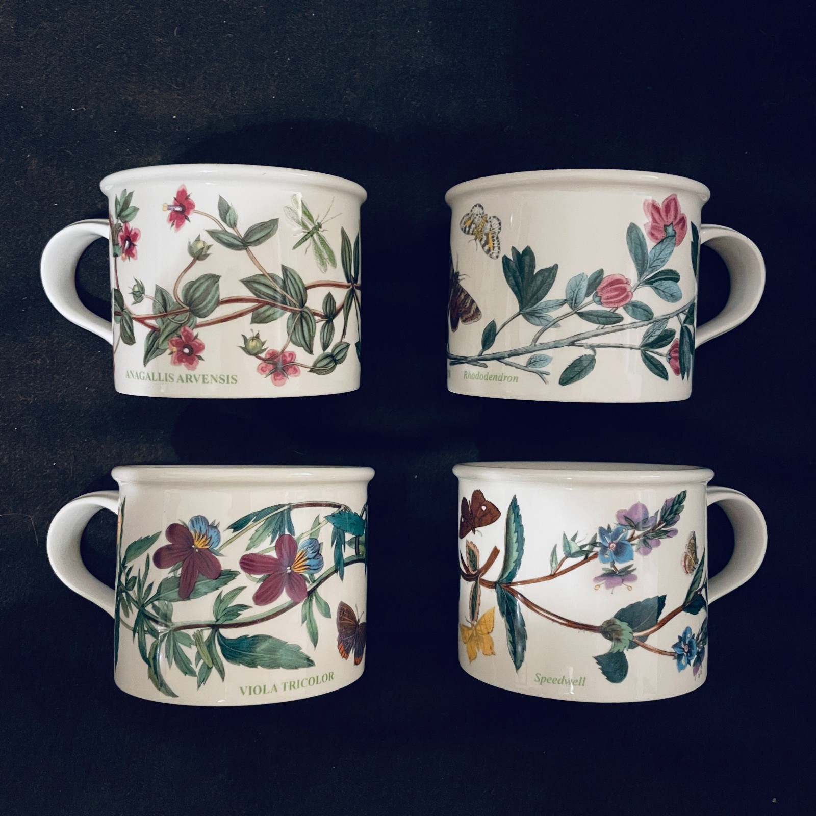 Portmeirion Botanic Garden Set of 4 tea coffee cups, Drum Bottoms – England