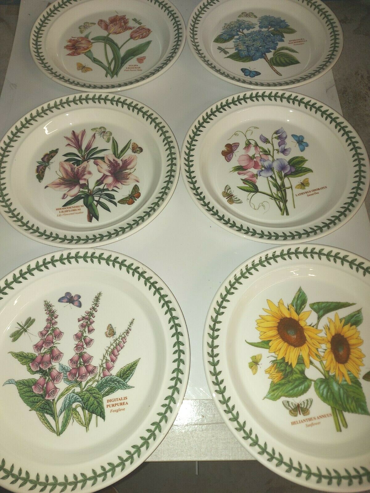Portmeirion botanic garden set of 6 assorted dinner plates—4601—