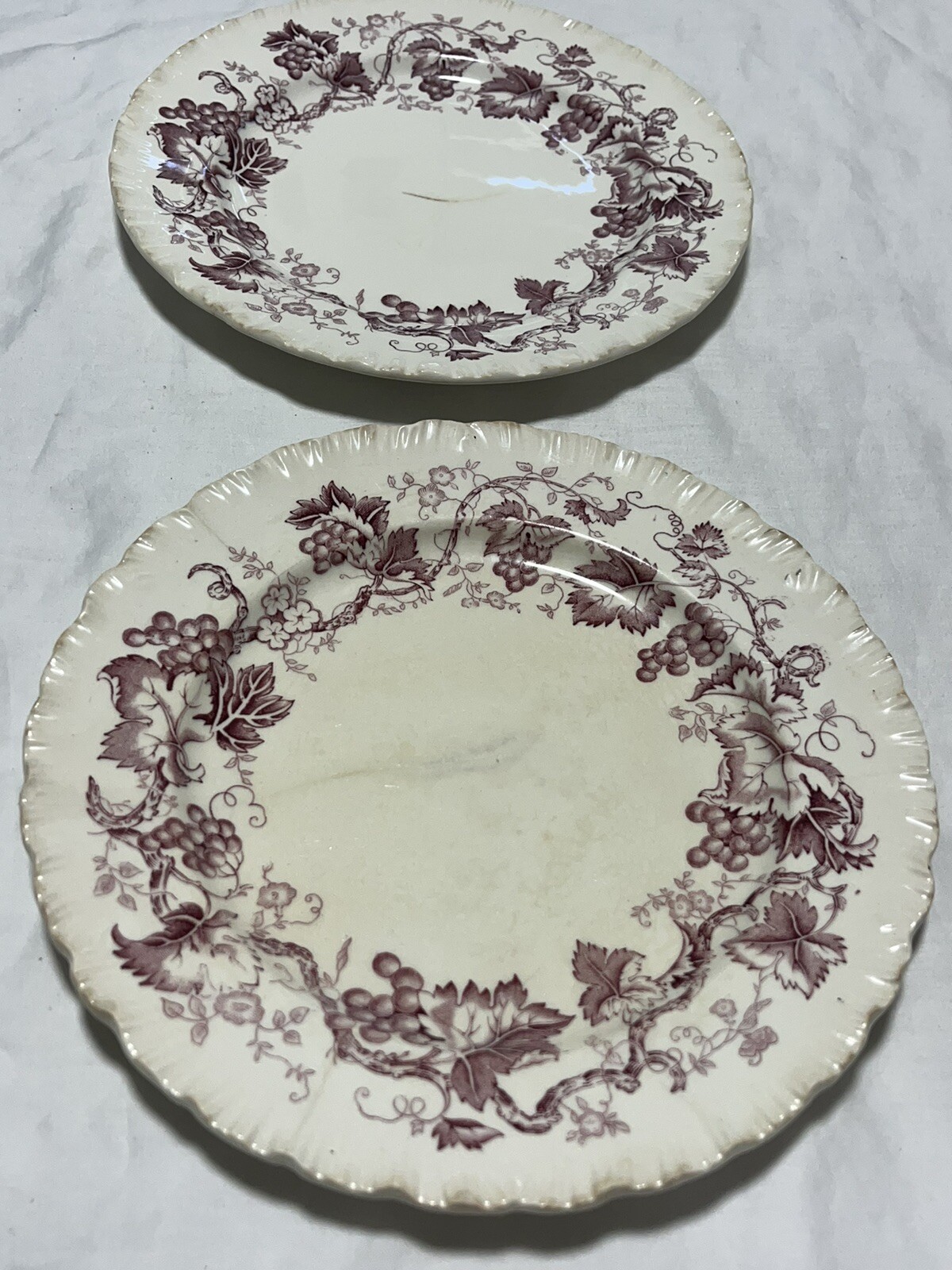 Wedgwood Old Vine Of Etruria & Barlaston 2 Salad Plates 8 1/8in Made In England