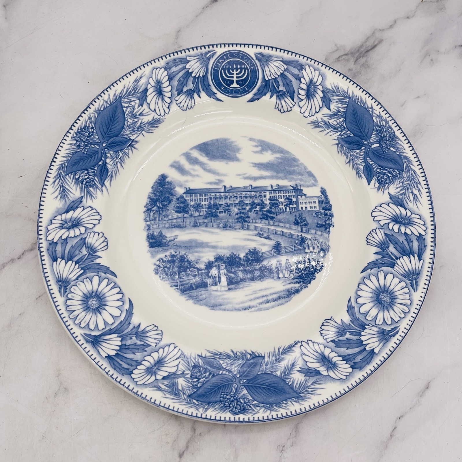Set of 13 Vtg Atq Blue & White Plates Wall Collage Display Decor Mostly England