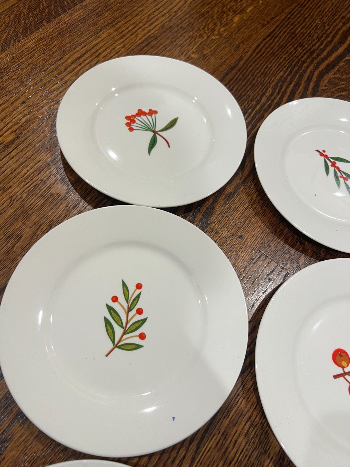 6 CRATE & BARREL ‘Berry Sprigs’ 7½” SALAD/DESSERT PLATES: Fruits & Leaves (6)