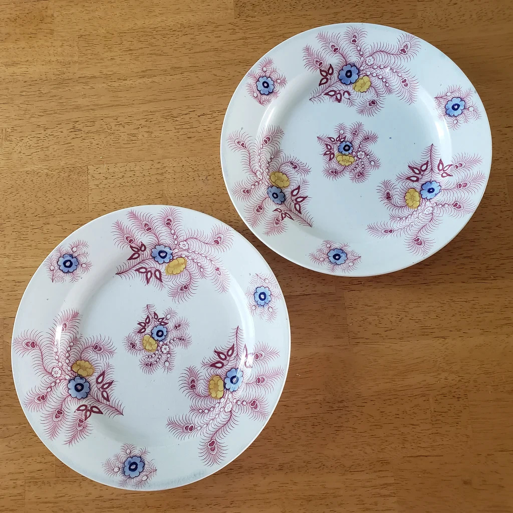 Antique Pink Feather Transferware Polychrome Plates 9” Set of 2 Wood & Challinor