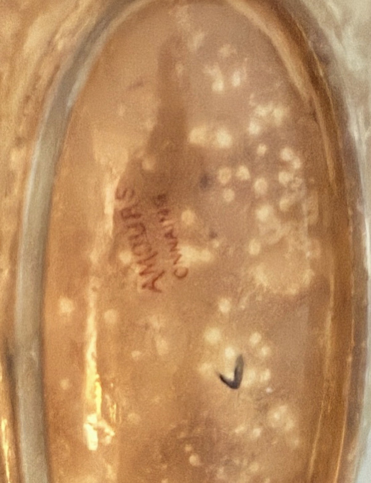 Antique French Sarreguemines Transferware Ravier