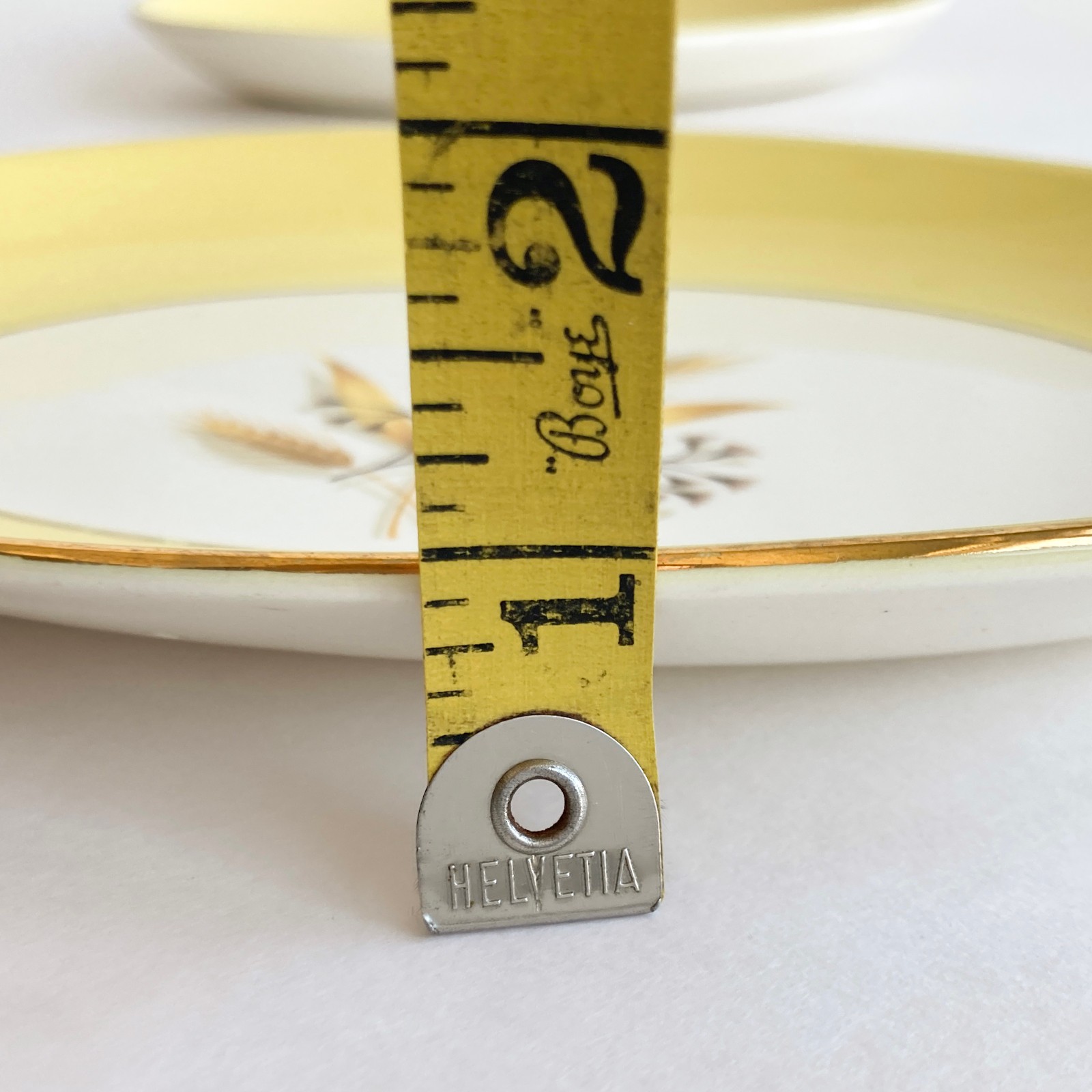 Autumn Gold Century Service 8.5″ Oval Relish Plates Set of 2 VTG Hard-To-Find