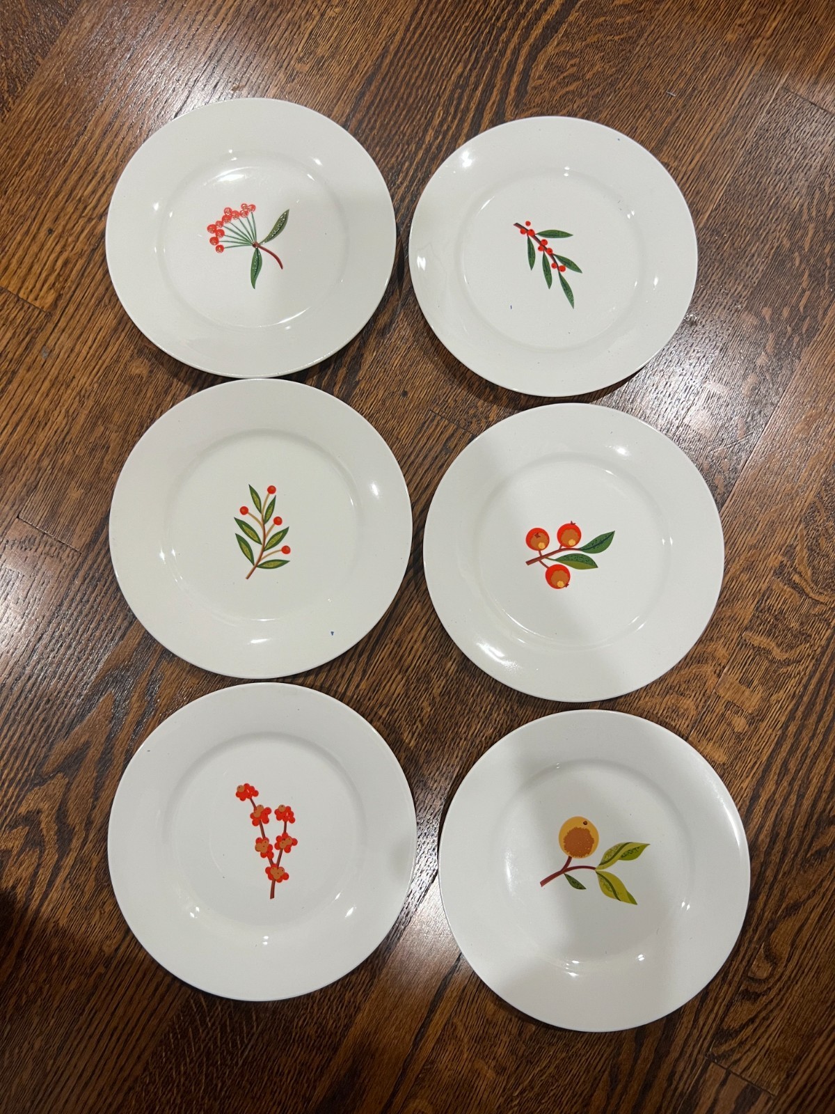 6 CRATE & BARREL ‘Berry Sprigs’ 7½” SALAD/DESSERT PLATES: Fruits & Leaves (6)