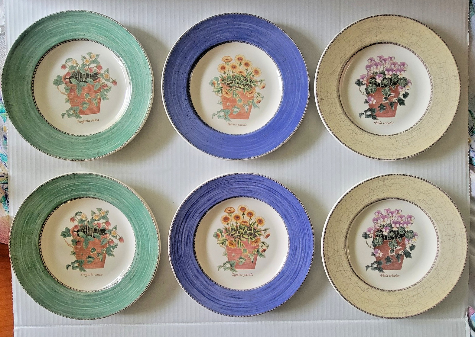 Lot of 6 Wedgwood Sarah’s Garden Salad Plates Blue-Yellow/Lt Tan-Green **READ**