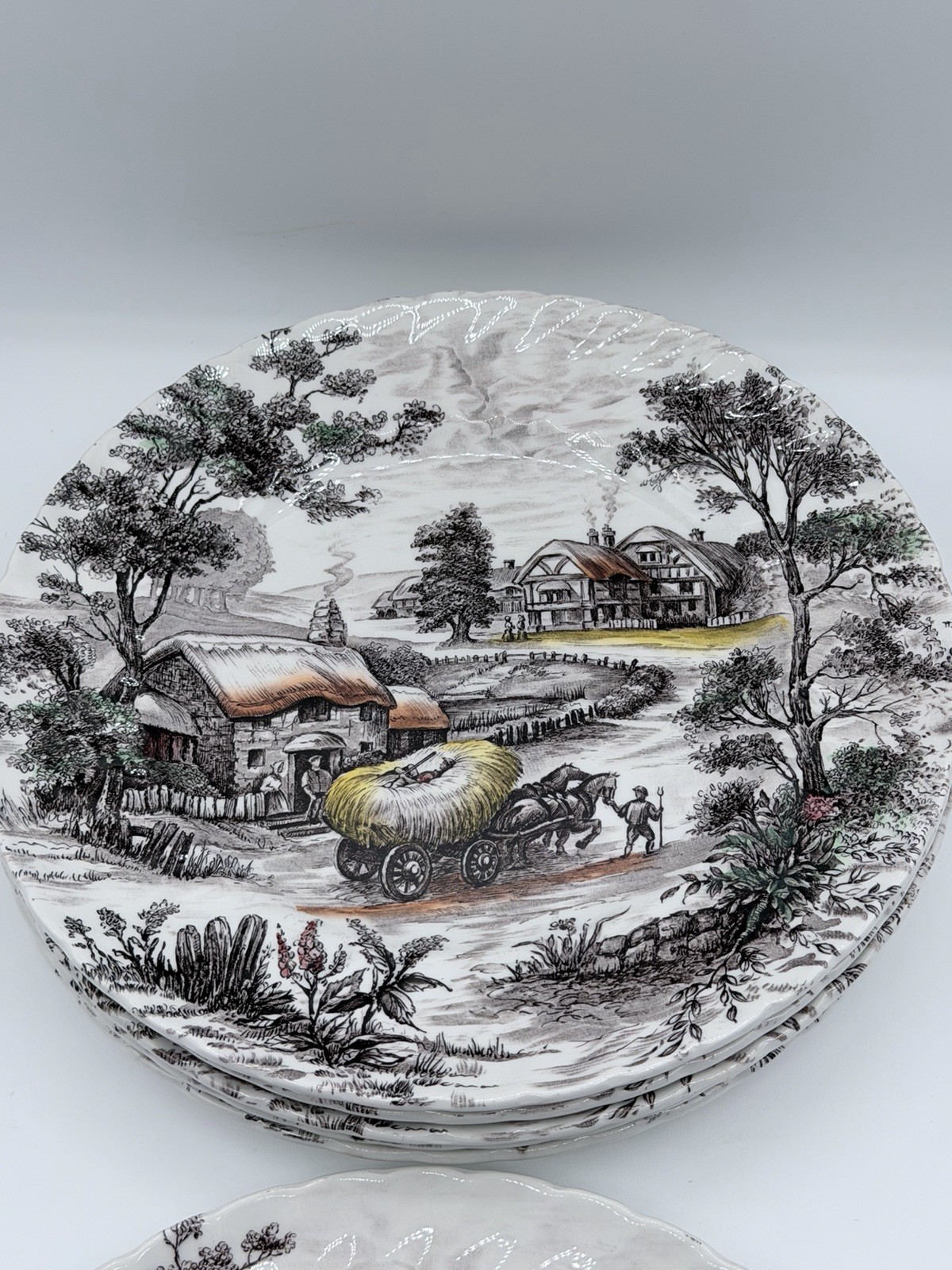 Staffordshire Ironstone Yorkshire Multicolor Dinner Plate England Set of 6