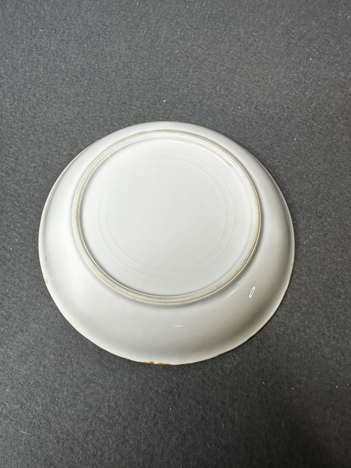 Vintage Set of (11) Hand Painted Thomas S Bavaria 7.5″ Bread Plates