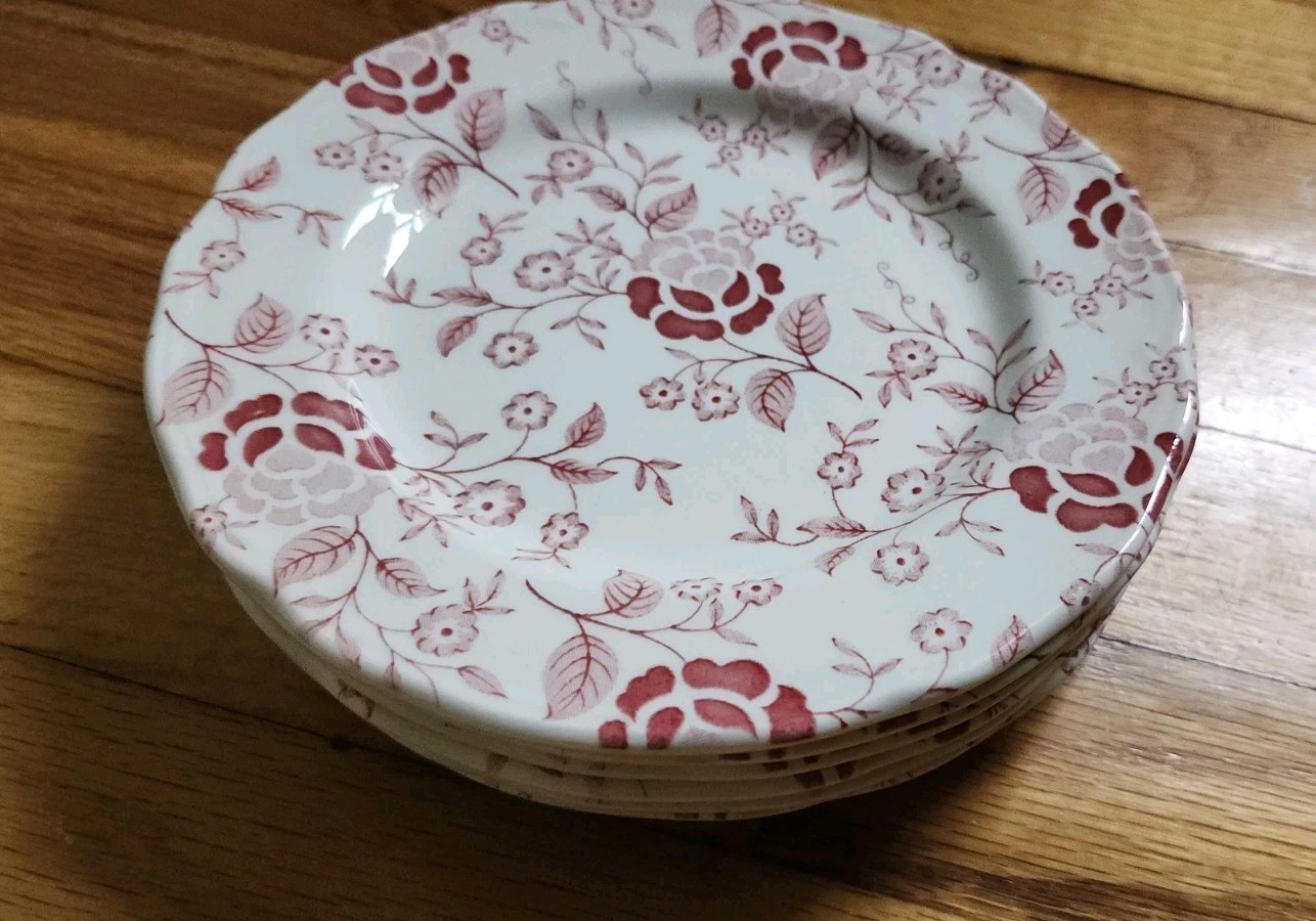 Set Of 6 Staffordshire J & G Meakin Salad Plate Victoria Rose England Dessert