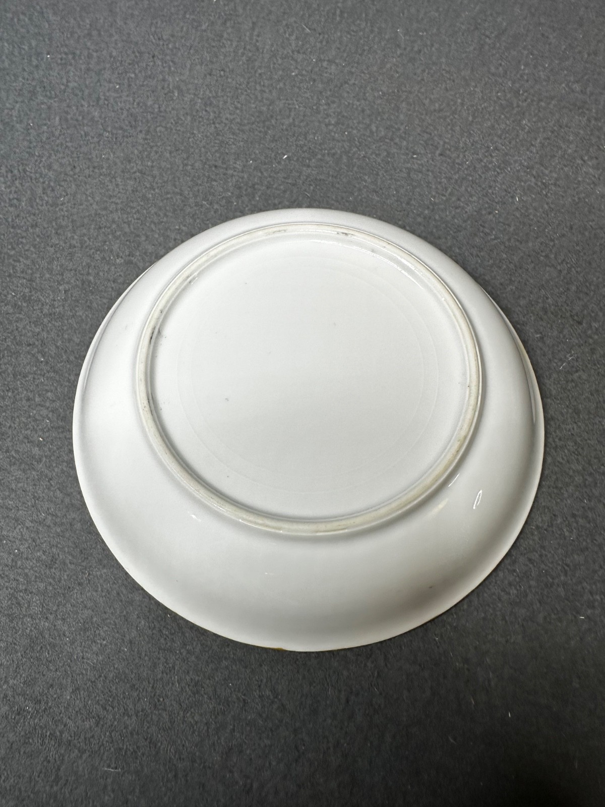 Vintage Set of (11) Hand Painted Thomas S Bavaria 7.5″ Bread Plates