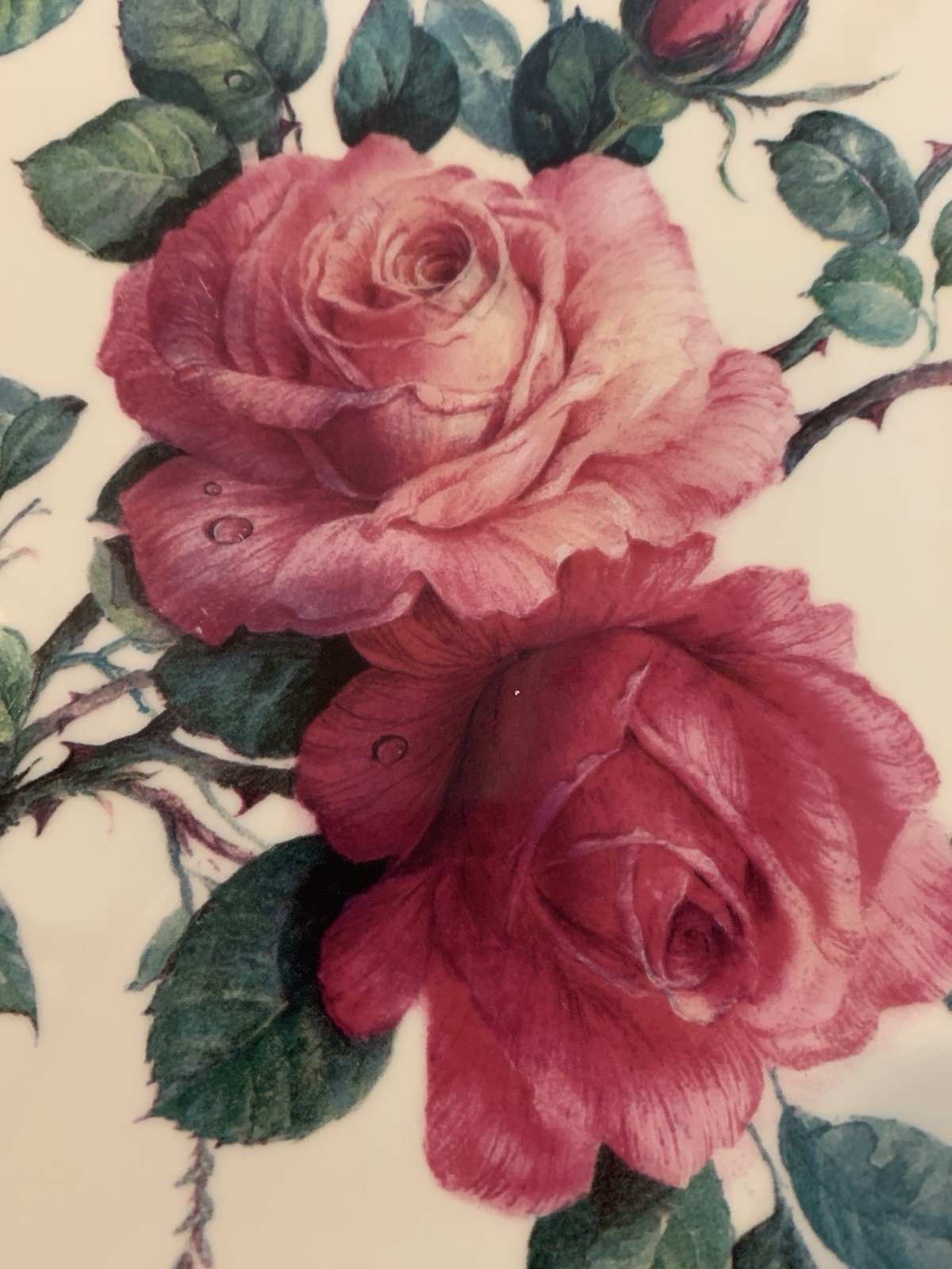 Roy Kirkham “English Rose” 12″ Platter (“cake plate”) Fine Bone China. MINT cond