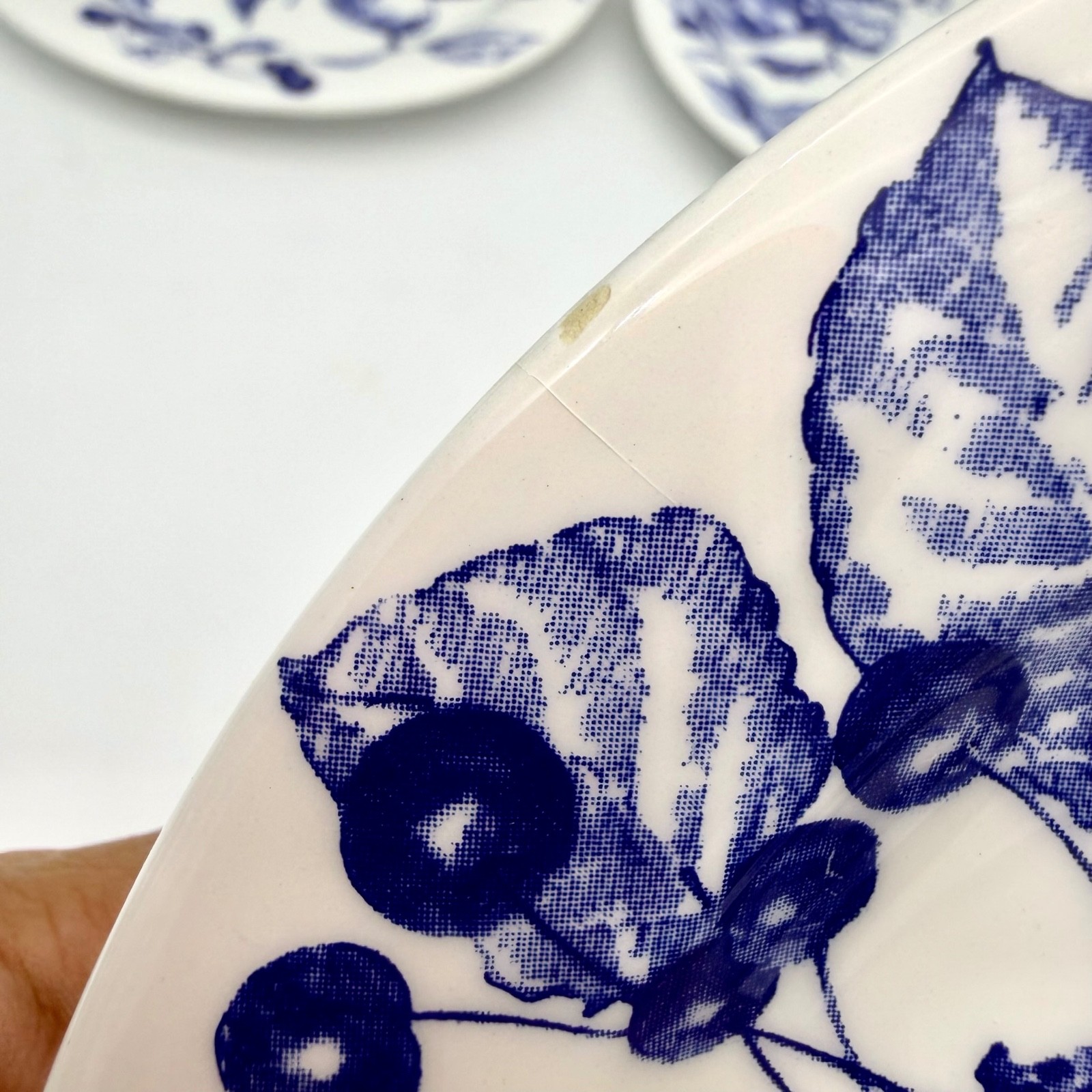 Ceramica Quadrifoglio Salad Plates 7.75in Ceramic Fruit Blue White Set 4 Italy