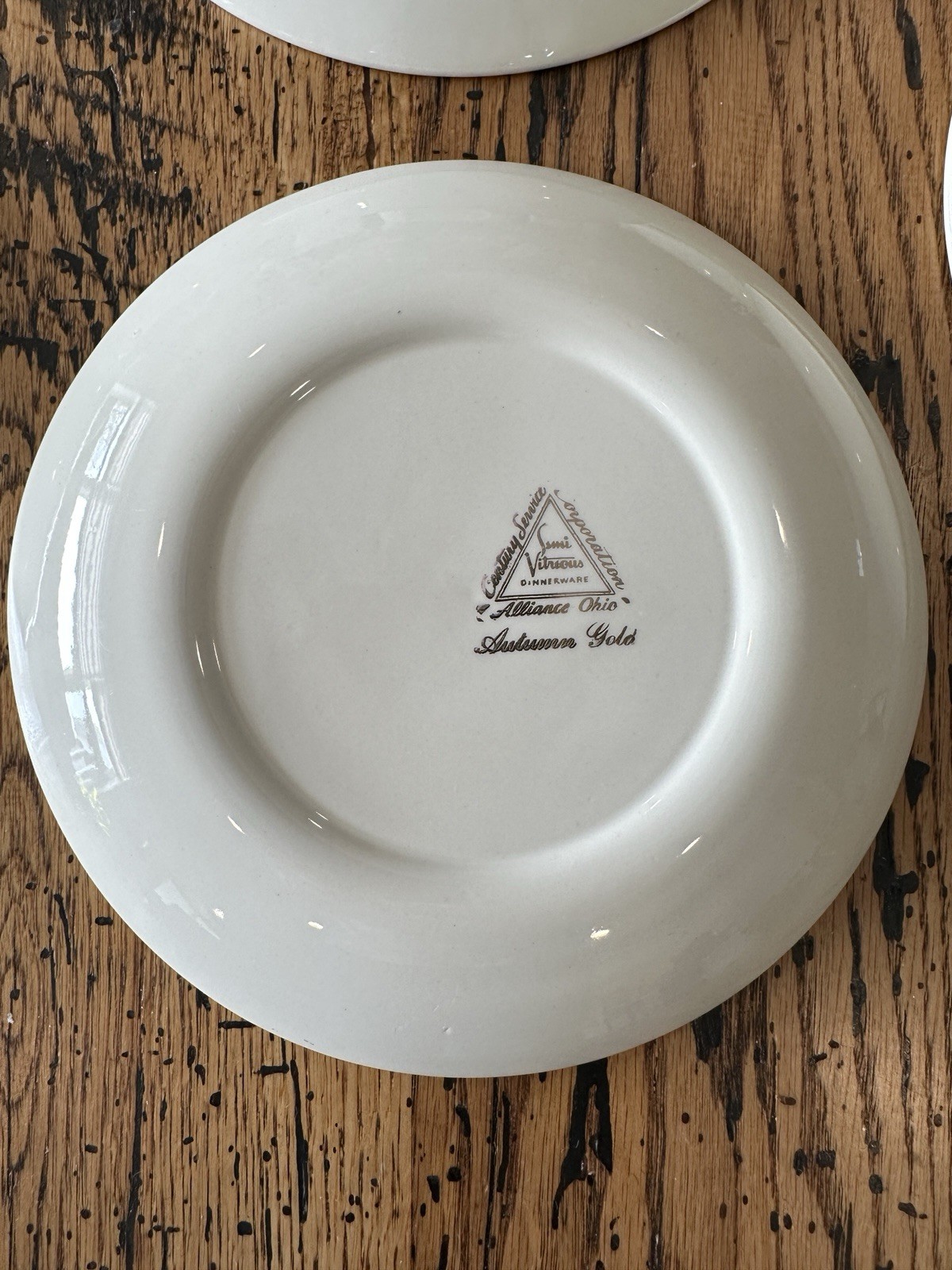 Set of (10) Vintage Century Service AUTUMN GOLD 7.25″ Salad/Dessert/Bread Plates