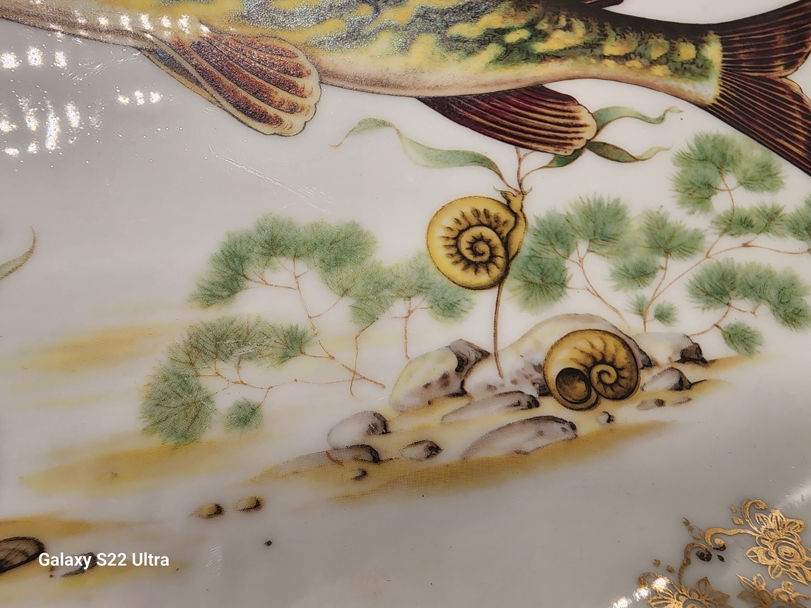 Antique Find Porcelain Limoges France Fish Platter 13.5″ Giraud Nankin