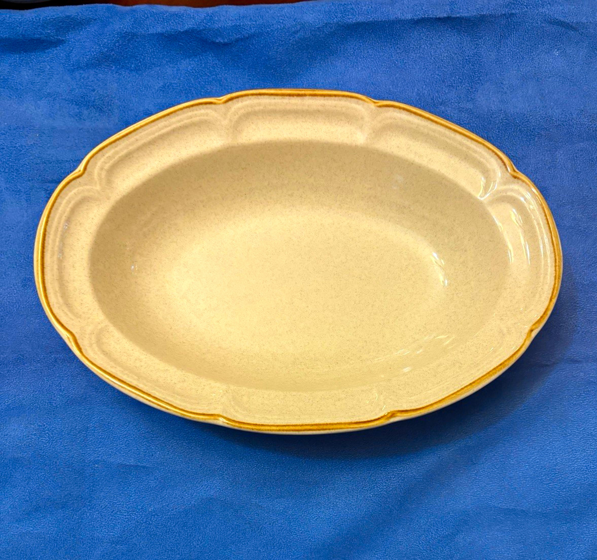Hearthside Cameo Stoneware Oval Platter 12×9 Beige/Brown Rim Japan Oven Safe