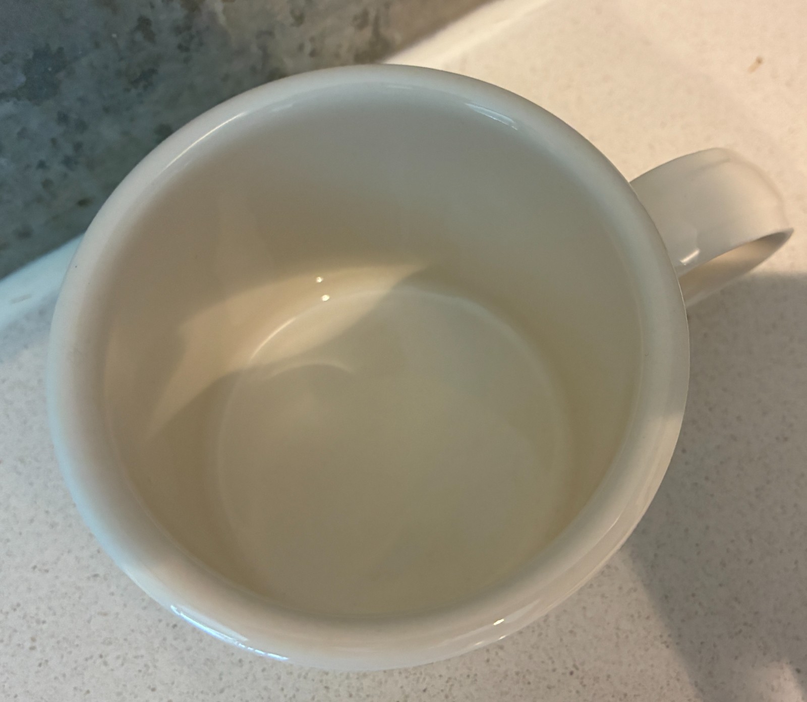 MOVING SALE! NEW PORTMEIRION BOTANIC GARDEN HARMONY BUTTERFLY BREAKFAST CUP