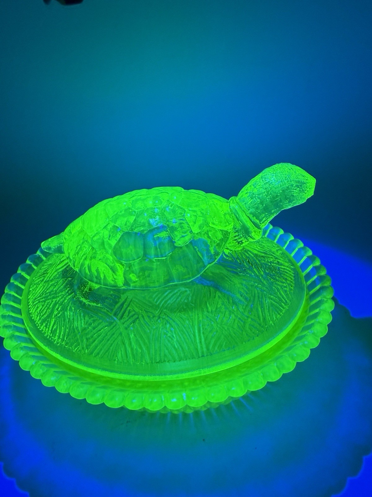 VNTG Boyd Vaseline Glass Turtle Covered Dish 5.5 in VERY RARE