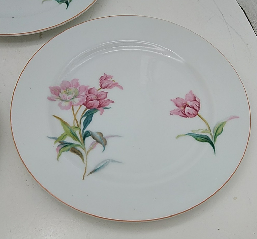 6 Noritake Pink Floral Salad or Dessert Plates White Pink Green Leaves Vintage