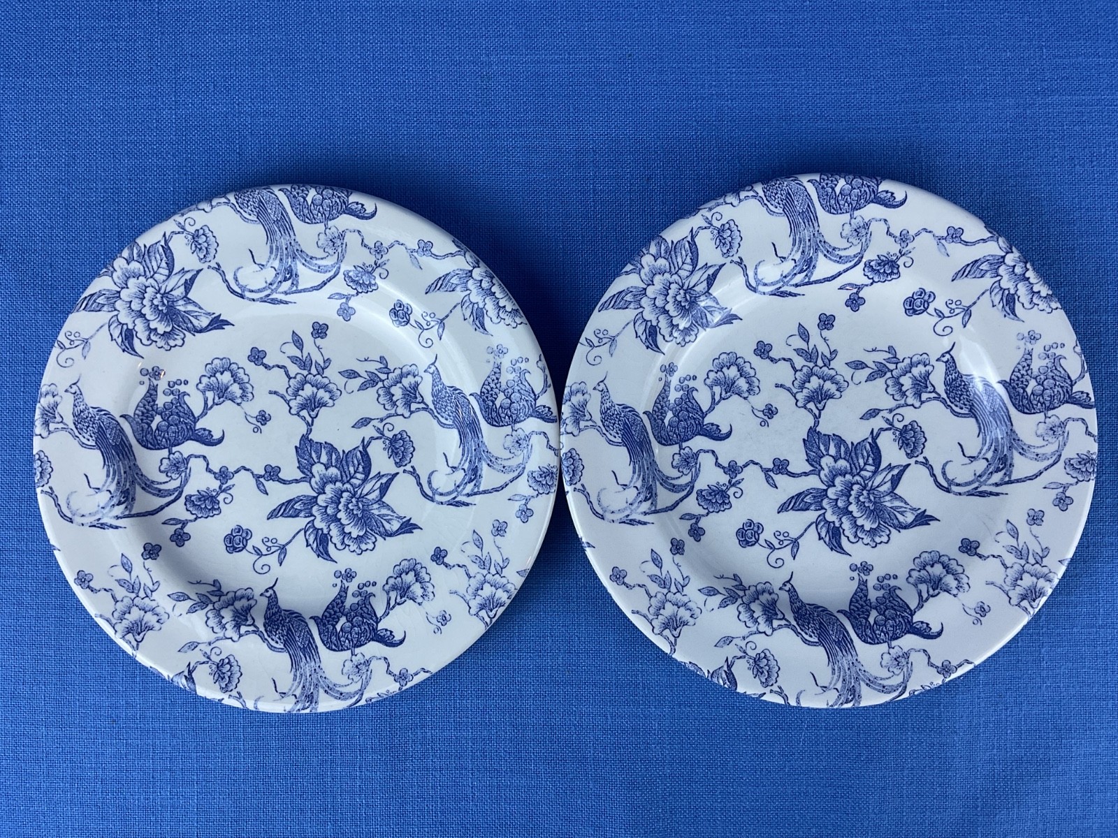 Staffordshire Engravings Bird of Paradise (2) Salad Plates 8” Fine Crazing GUC