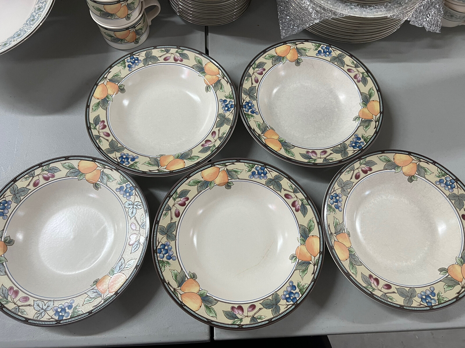 5 Mikasa Intaglio Garden Harvest Rimmed Soup Pasta Bowls 9 1/4″ Fruit and Leaves