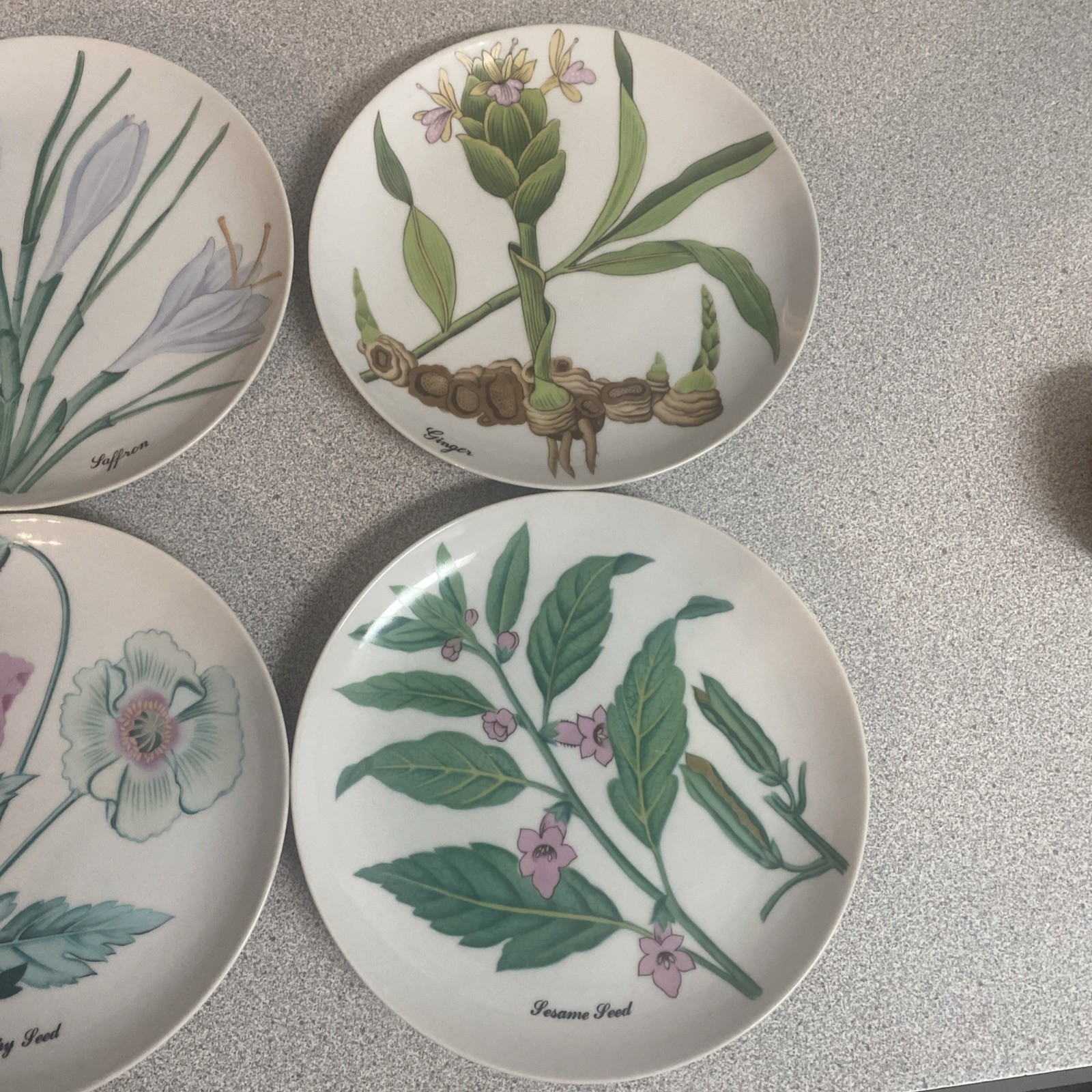 Vintage Set of 6 Neiman Marcus Horchow Botanical Herb Plates 7 3/8” Japan
