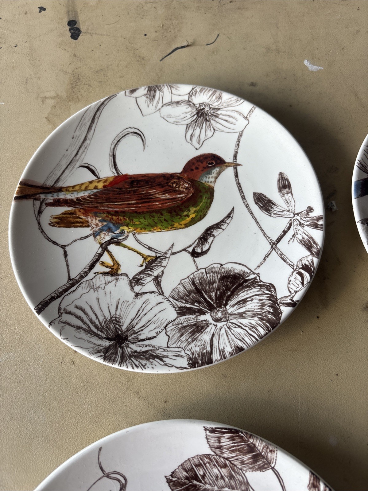 William And Sonoma Botanical Birds 2012 6 Luncheon /dessert Plates