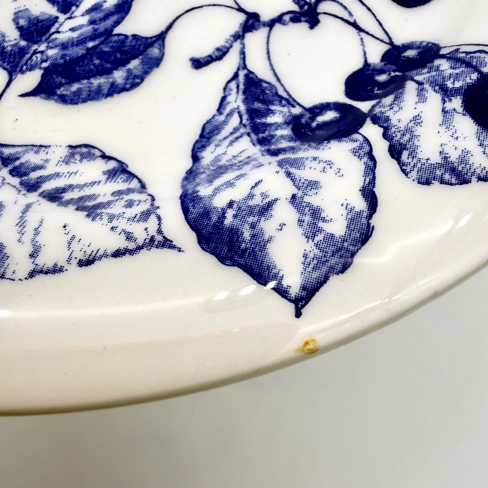 Ceramica Quadrifoglio Salad Plates 7.75in Ceramic Fruit Blue White Set 4 Italy