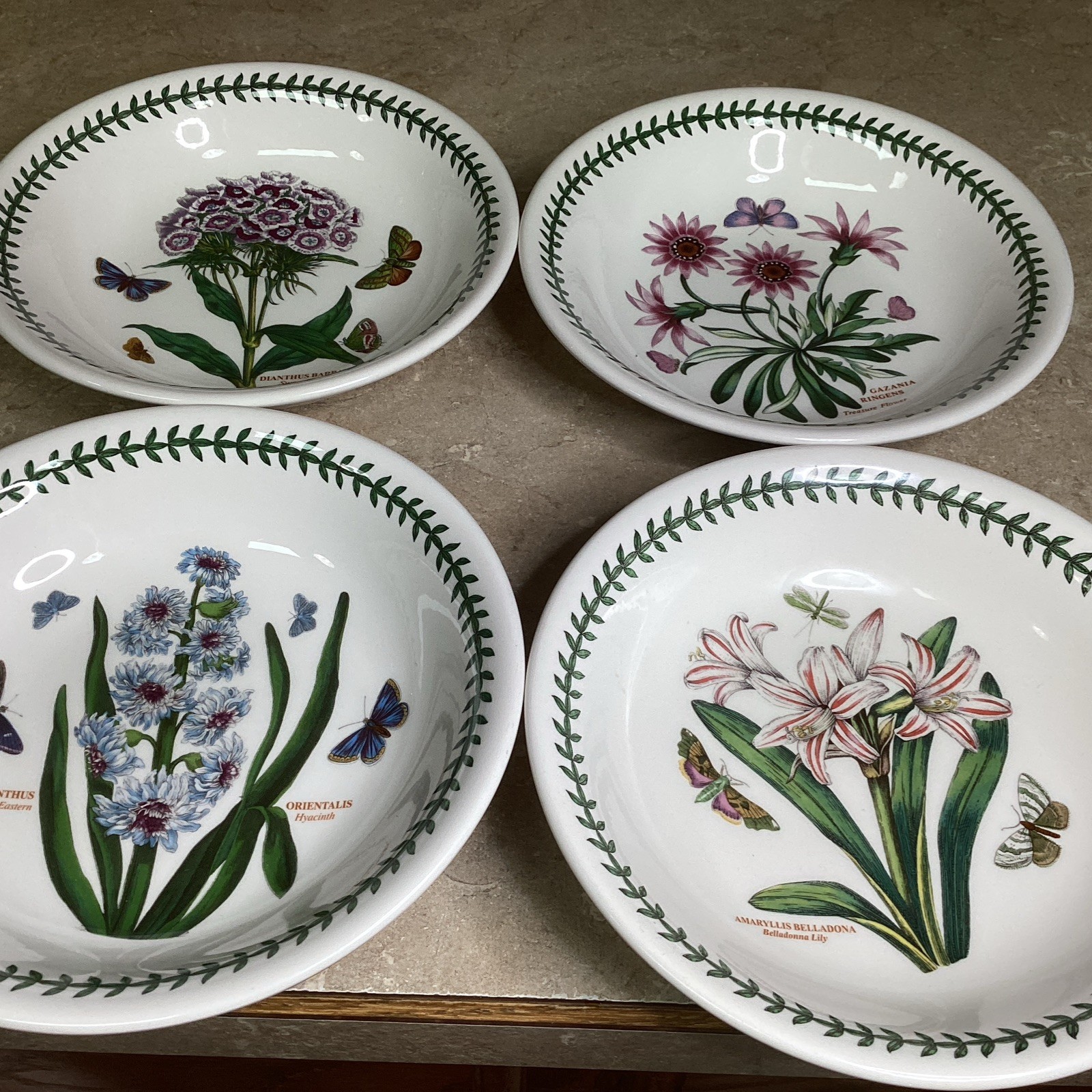SET OF 4 Portmeirion BOTANIC GARDEN 8 3/4” Pasta / Soup Bowls – Assorted-new