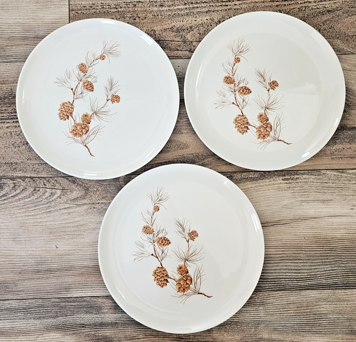 Harmony House Mocha Pine Dinner Plates | Set of 3 | Pinecones | 10″