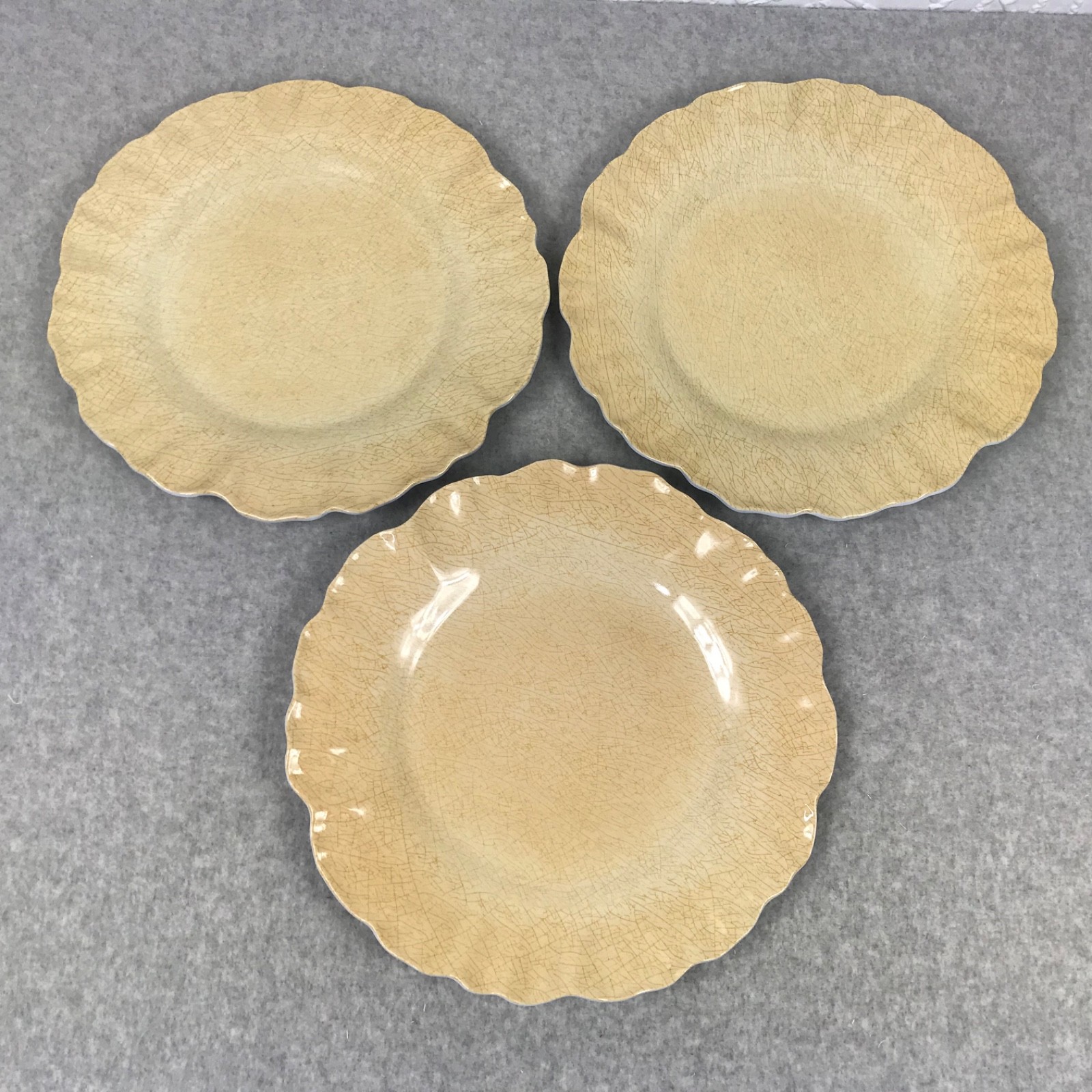 MERRITT Melmine Succulent Garden Mocha Dinner Plates Set of 6 Beige/Golden