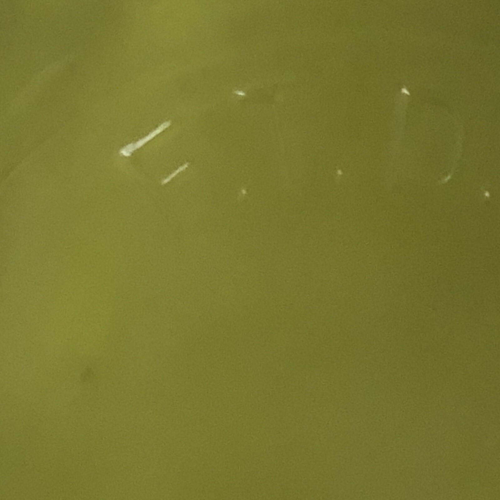 Oval Serve Dish Planter Bark Pattern 9.25×5.25×2.2 FTD 1975 Avocado Green Glass