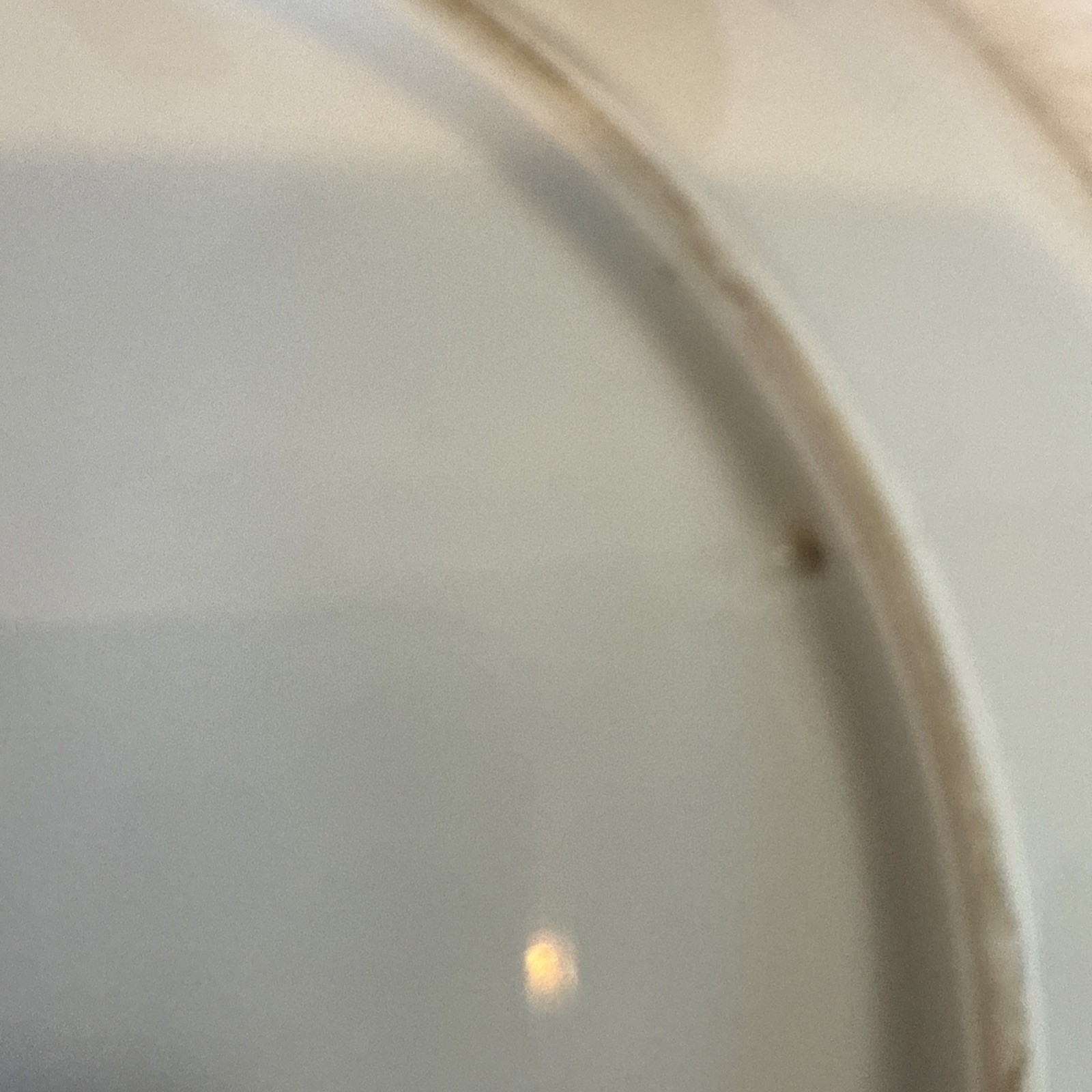 Vintage Hand Painted Dinner Plate 9” Made In Occupied Japan Signed By M. Uno