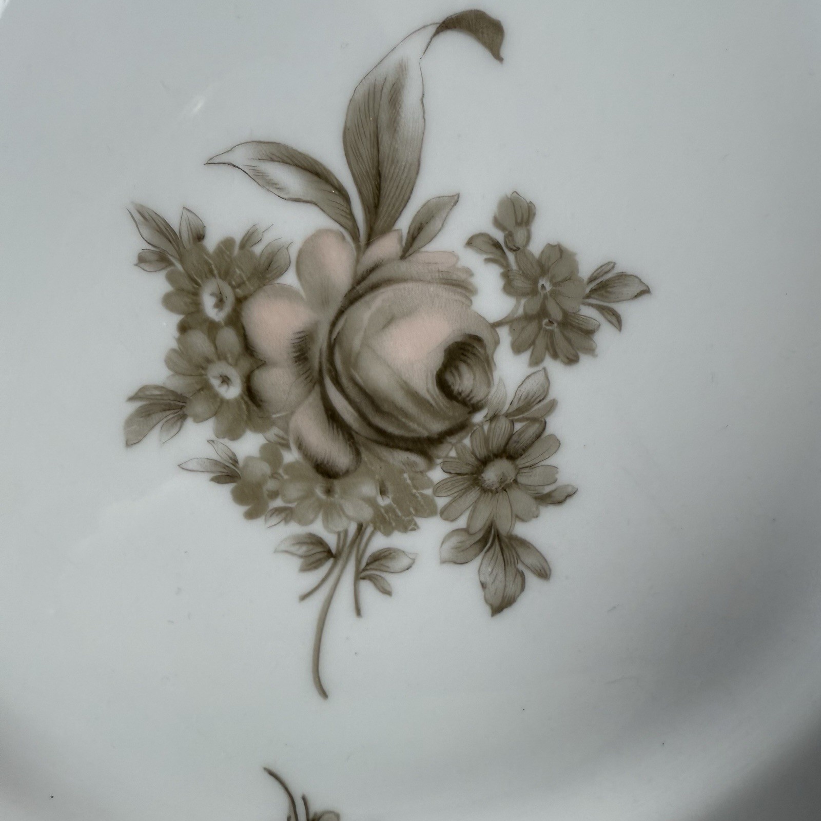 Johann Haviland Bavaria Sepia Rose – 10.5” Dinner Plate – Fine China Germany