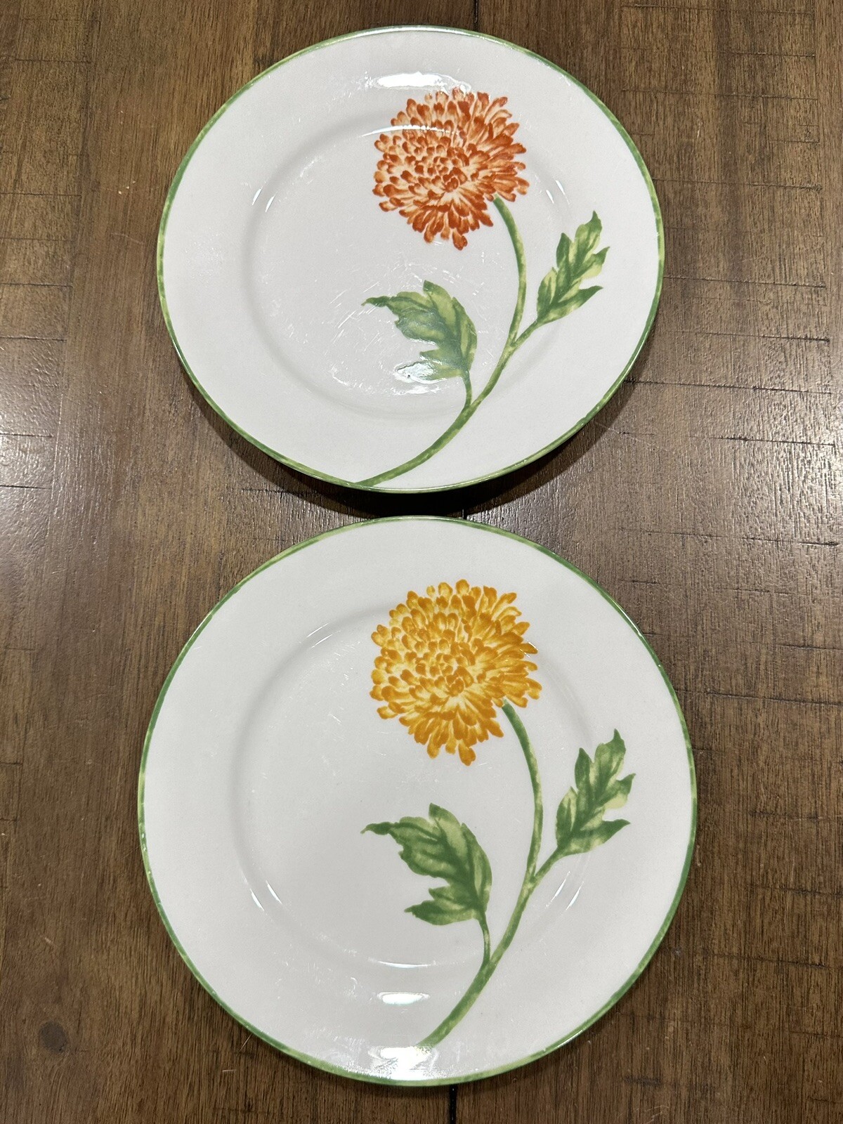 Set of 2 Fall Floral by Pier 1 Flowers Mums Porcelain Salad Plates 7.75” in EUC