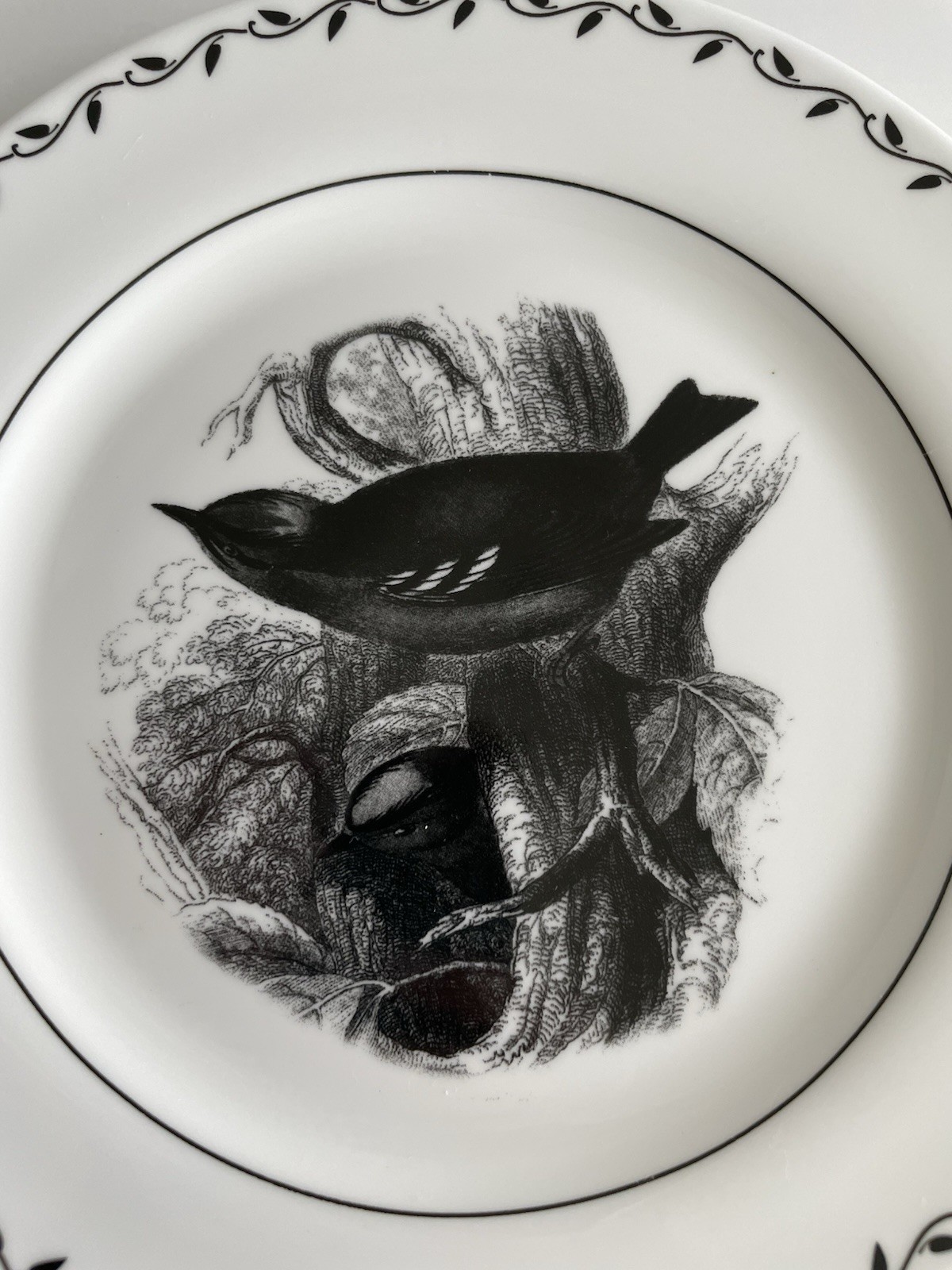 Mary Carol Lot of 4 Birds And Bees Black And White China Dessert Plates 7 7/8″