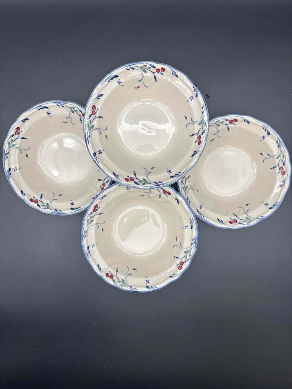 4 Epoch Berry Grove Rimmed Soup Bowls VTG Red Berries Blue Scalloped Discontinue