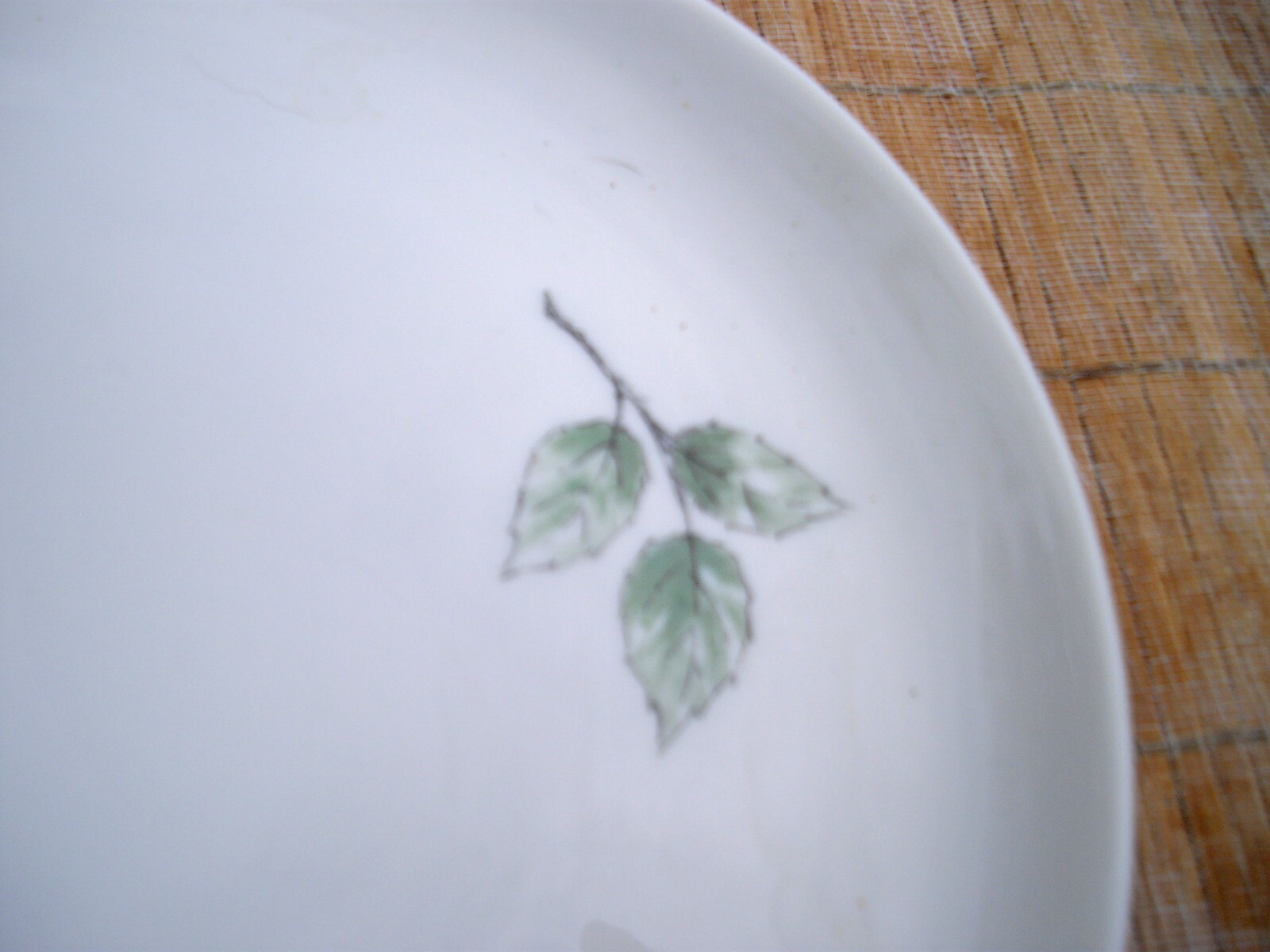 Vintage Syracuse China CAREFREE WAYSIDE Fruits 11 1/2″ Platter ~