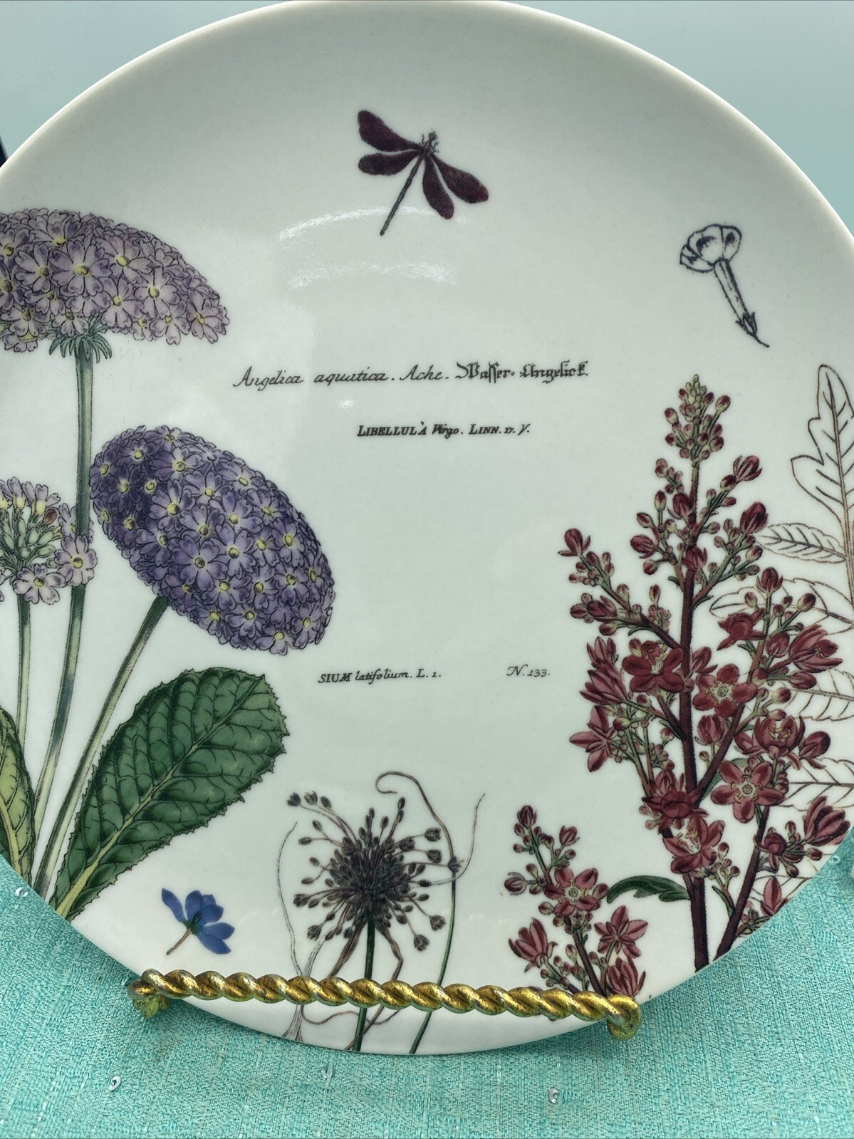 Rosanna 8” Botanical Garden Luncheon Plates~Antique Print 19th Century