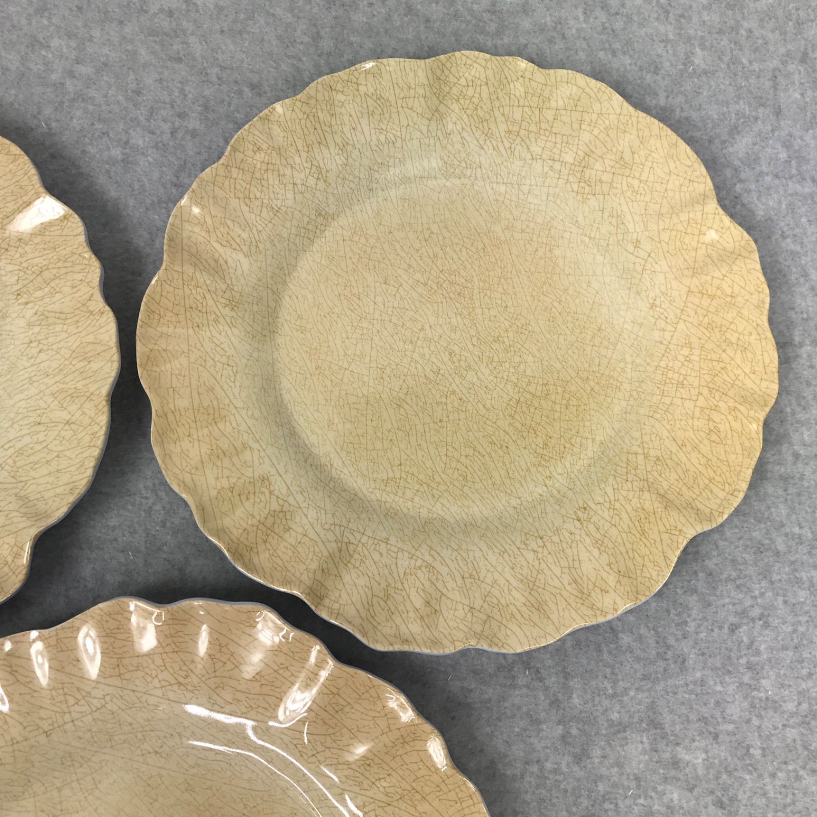 MERRITT Melmine Succulent Garden Mocha Dinner Plates Set of 6 Beige/Golden