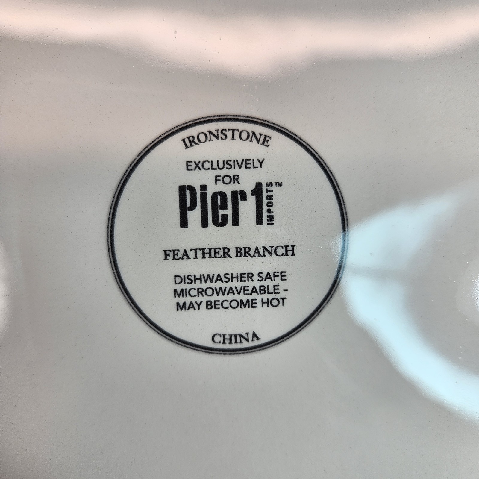Beautiful Pier 1 Imports Ironstone Feather Branch Pattern Dinner Plate 10.5″