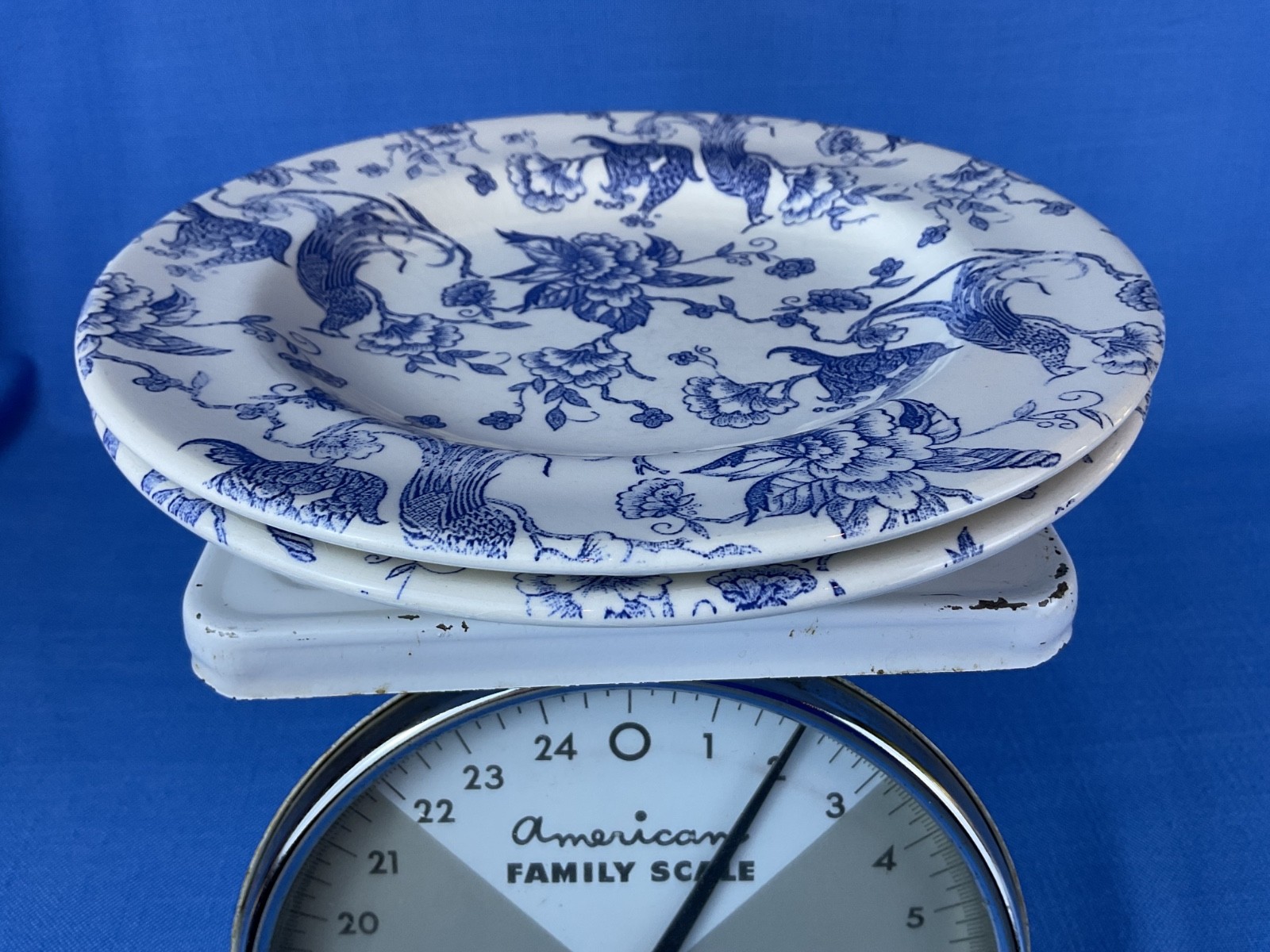 Staffordshire Engravings Bird of Paradise (2) Salad Plates 8” Fine Crazing GUC
