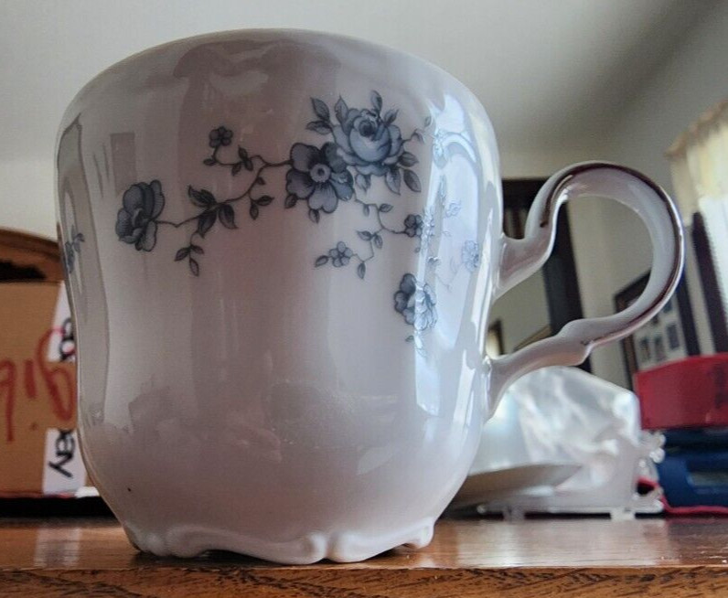 Blue Garland Cup Saucer Set Johann Haviland Porcelain White Blue Platinum !