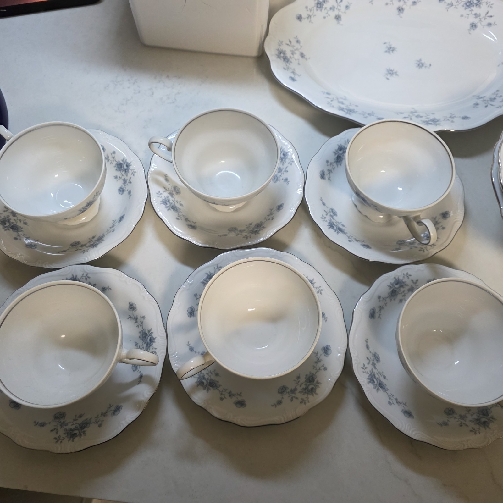 johann haviland bavaria germany blue garland set