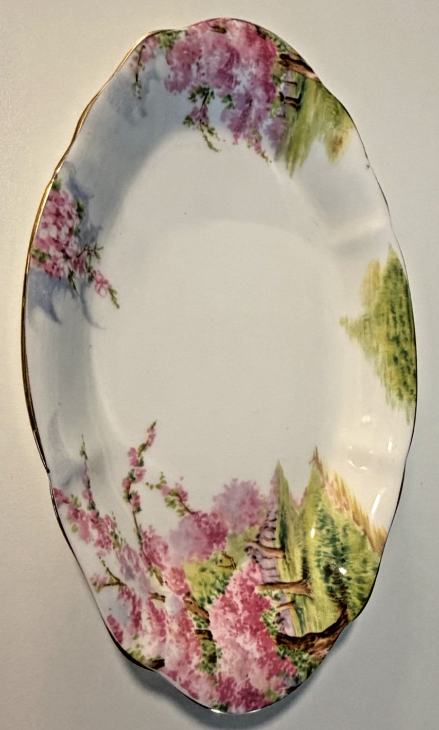 8inch Royal Albert Bone China Blossom Time Oval Plate England White Pink Green