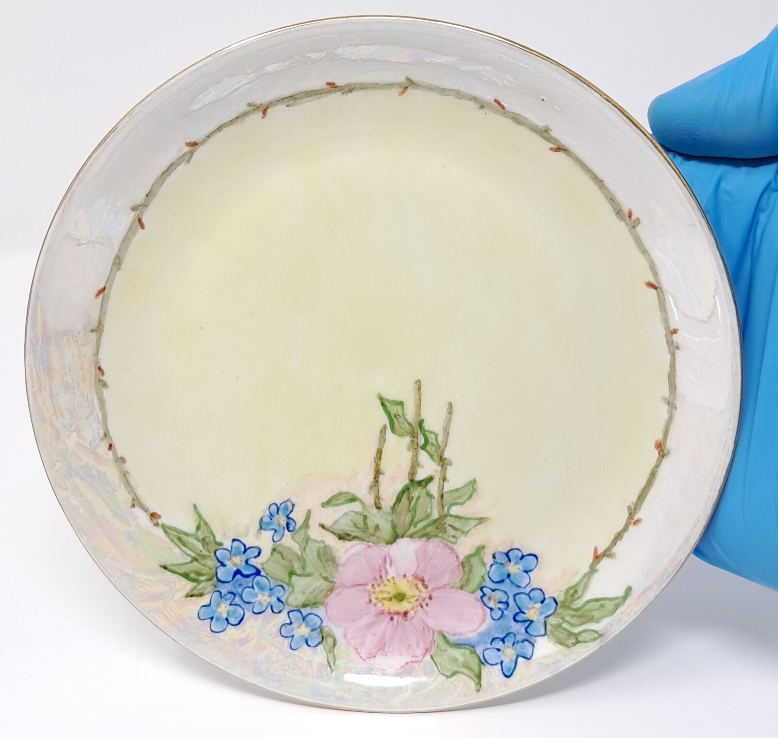 Hutschenreuther 6″ Porcelain Plates set of 6 handpainted florals lustre rim Selb