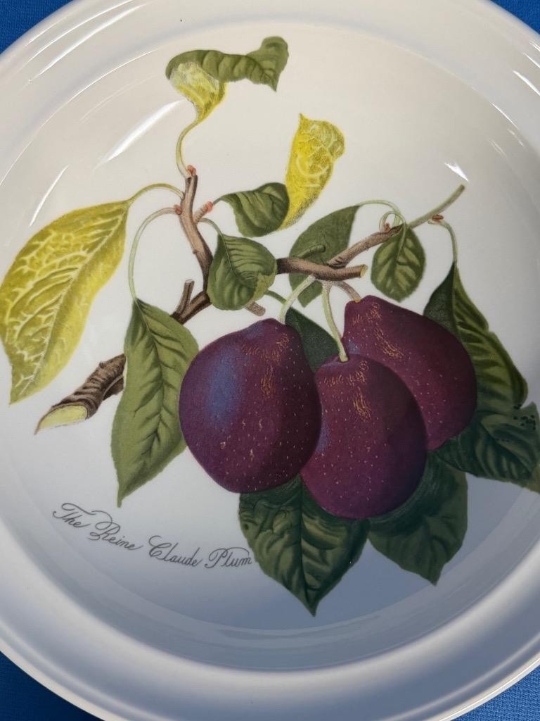 Lot of 6 Portmeirion Pomona Goddess of Fruit Rim Soup Cereal Bowls All Different